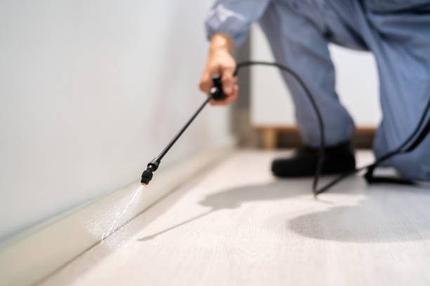 Licensed Termite Control service in Rock Hill, SC - Nex Pest Control