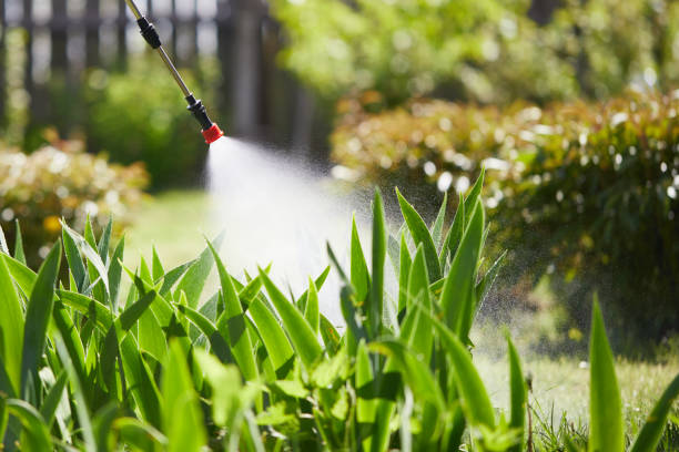 24/7 Emergency Termite Control experts in Rock Hill, SC