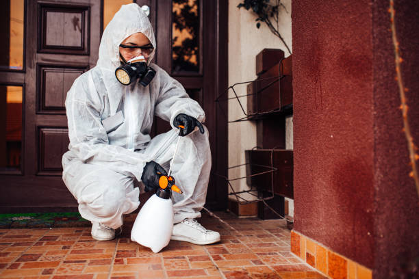 Reliable Termite Control contractor in Rock Hill, SC by Nex Pest Control